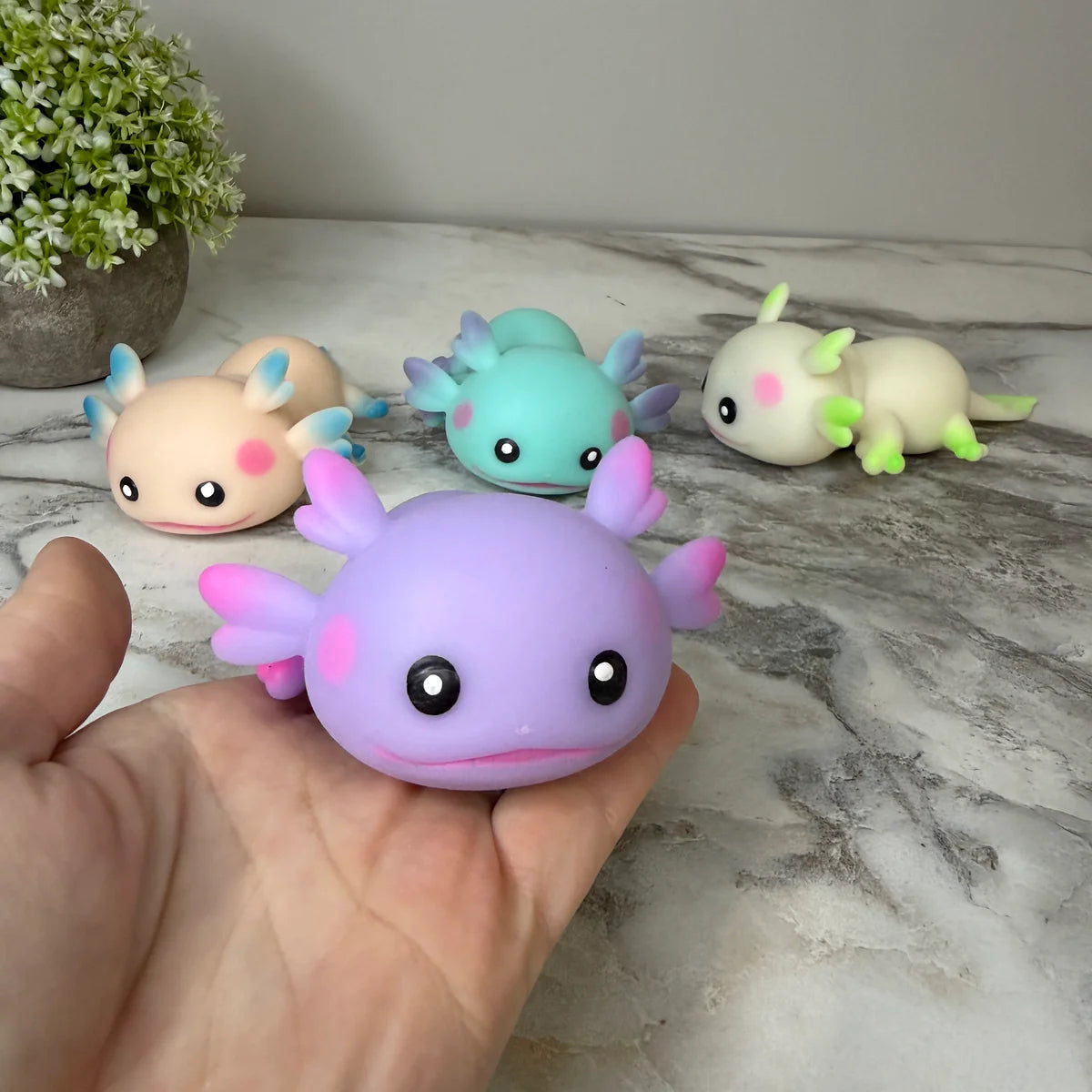 Squishy Collection
