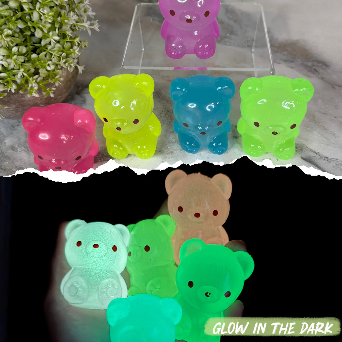 Squishy Collection